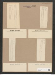 Navicula sp. (de-Toni-Nr.: Genus 1) Zeichnungen Sammlung Grunow Nr. 1483 (NHMW-BOT-W0368497)